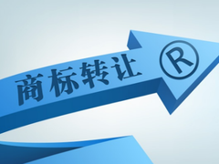 知識產(chǎn)權服務 企業(yè)創(chuàng)新發(fā)展的護航者